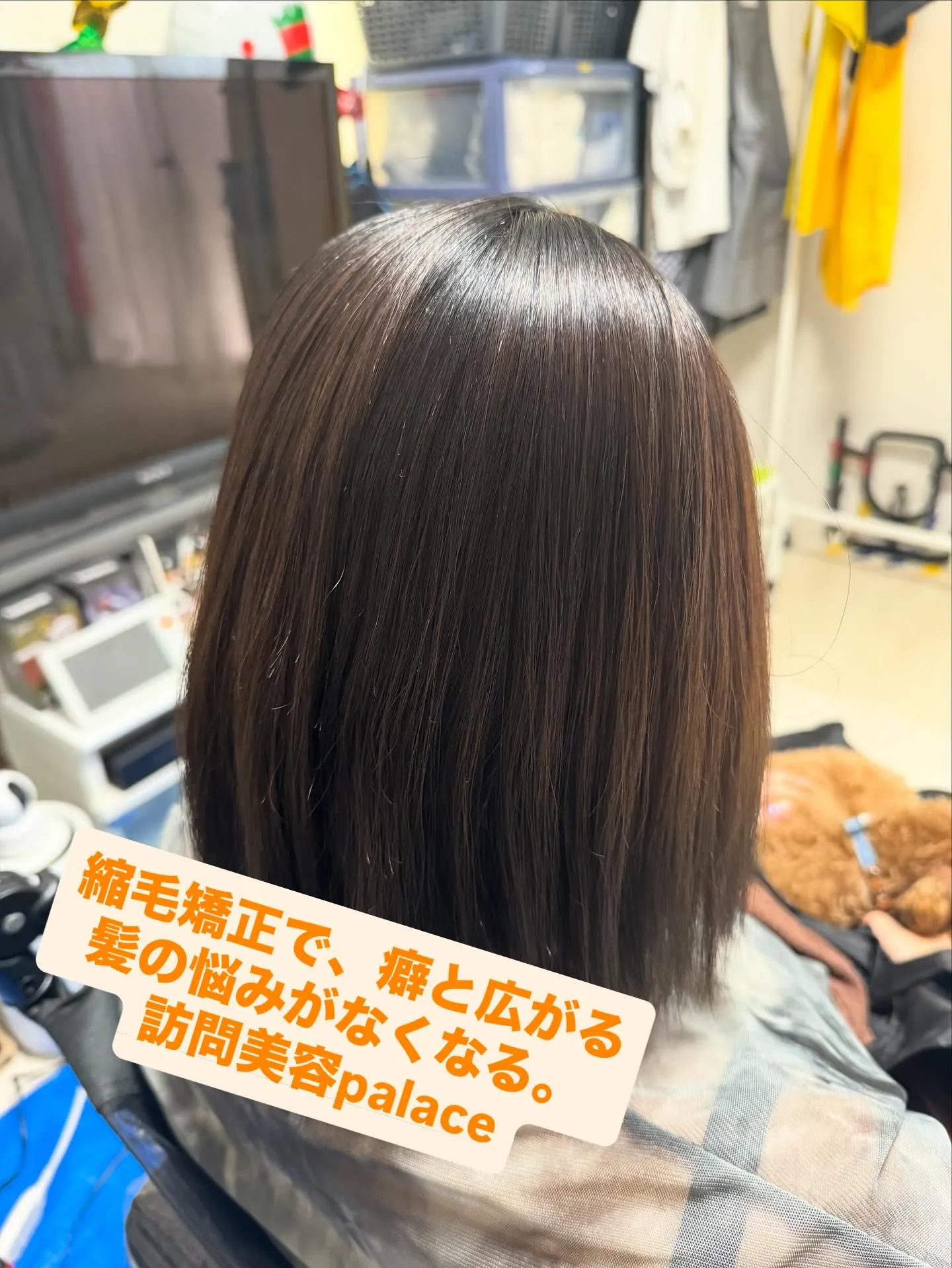 【千葉県】千葉県の訪問美容師で口コミ満足No.1❗️訪問美容...