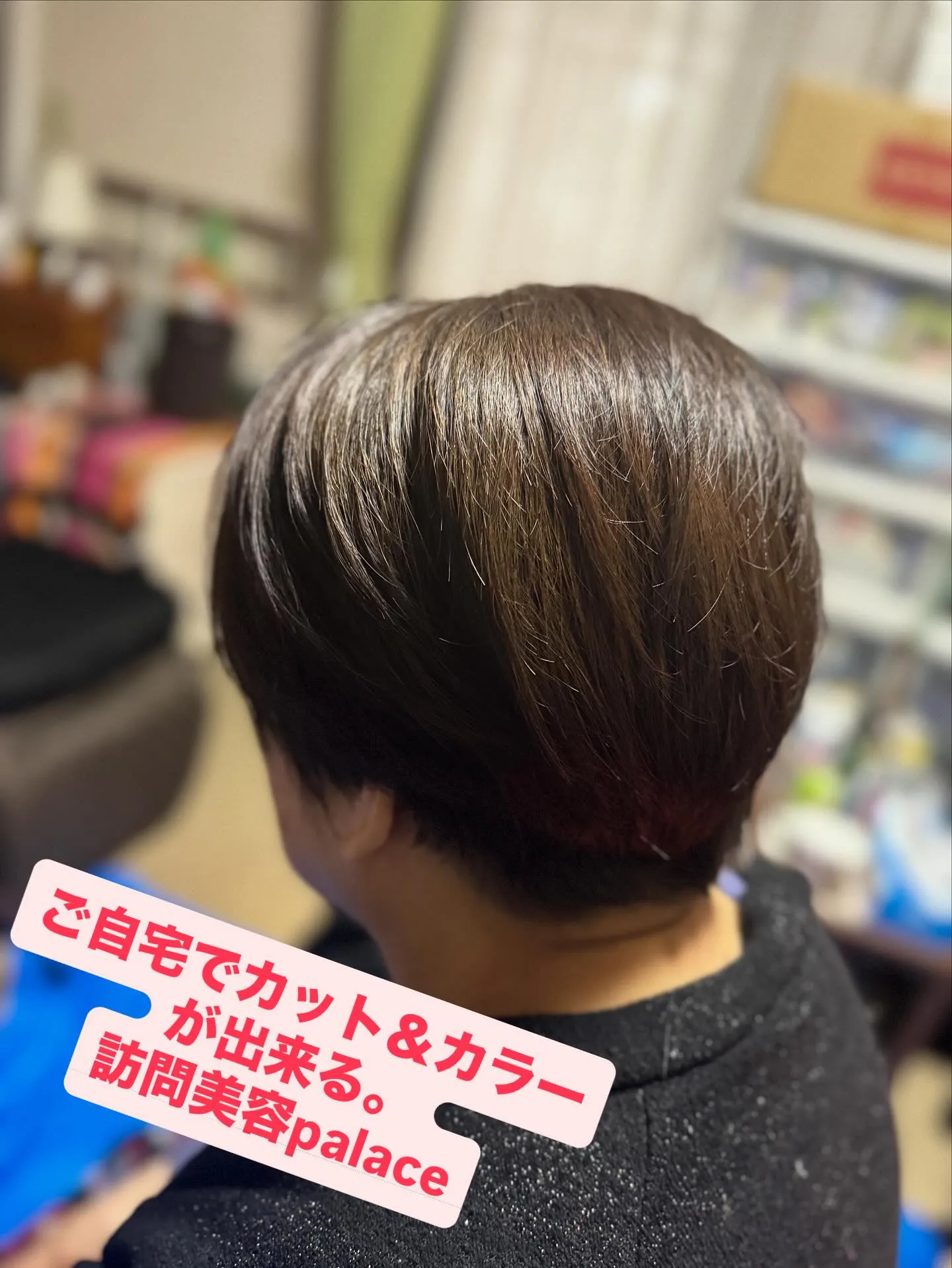 【市川市】千葉県の訪問美容師で口コミ満足No.1❗️訪問美容...